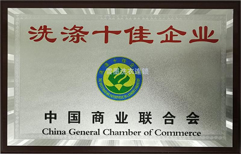 洗涤十佳企业